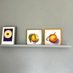 Akvarel - Citrusfrugt - 26x26cm inkl grn ramme