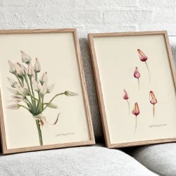 Original akvarel - Blomsterstand - indrammet 36x26cm