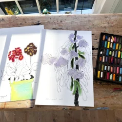 Tegning /soft pastel - Levkjer - A3