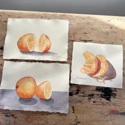 Akvarel - Mandarinb�de - 18x22cm