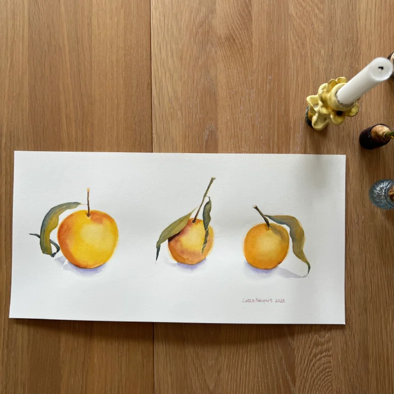 Akvarel - 3 citrusfrugt - 25x50cm