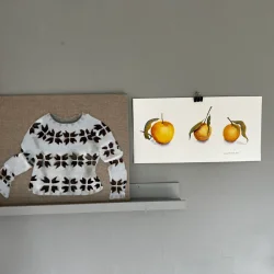 Akvarel - 3 citrusfrugt - 25x50cm