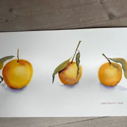 Akvarel - 3 citrusfrugt - 25x50cm
