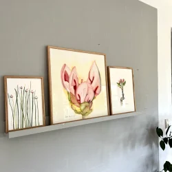 Akvarel - Young Flower - 50x50cm inkl egetr�ramme med artglas