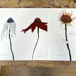 Tegning - Rd solsikke - A3