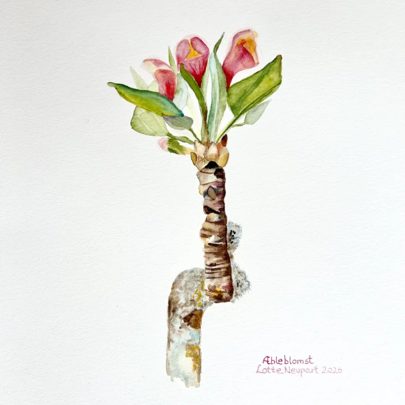 Akvarel - �bleblomst - 30x40cm