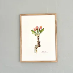 Akvarel - �bleblomst - 30x40cm