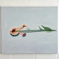 Oliemaleri - Afblomstring - 50x60cm