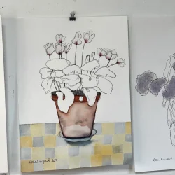 Tegning - Alpeviol - 30x40cm