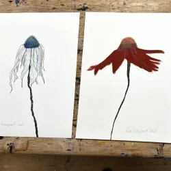 Tegning - Bl solhat - A3