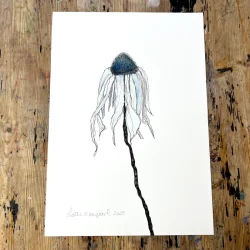 Tegning - Bl solhat - A3