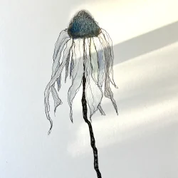 Tegning - Bl solhat - A3