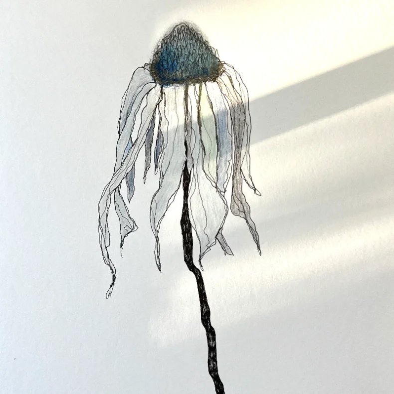 Tegning - Bl solhat - A3