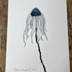 Tegning - Bl solhat - A3