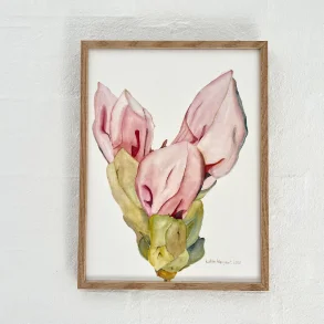 Akvarel - Blomsterknop 30x40cm inkl egetr�ramme