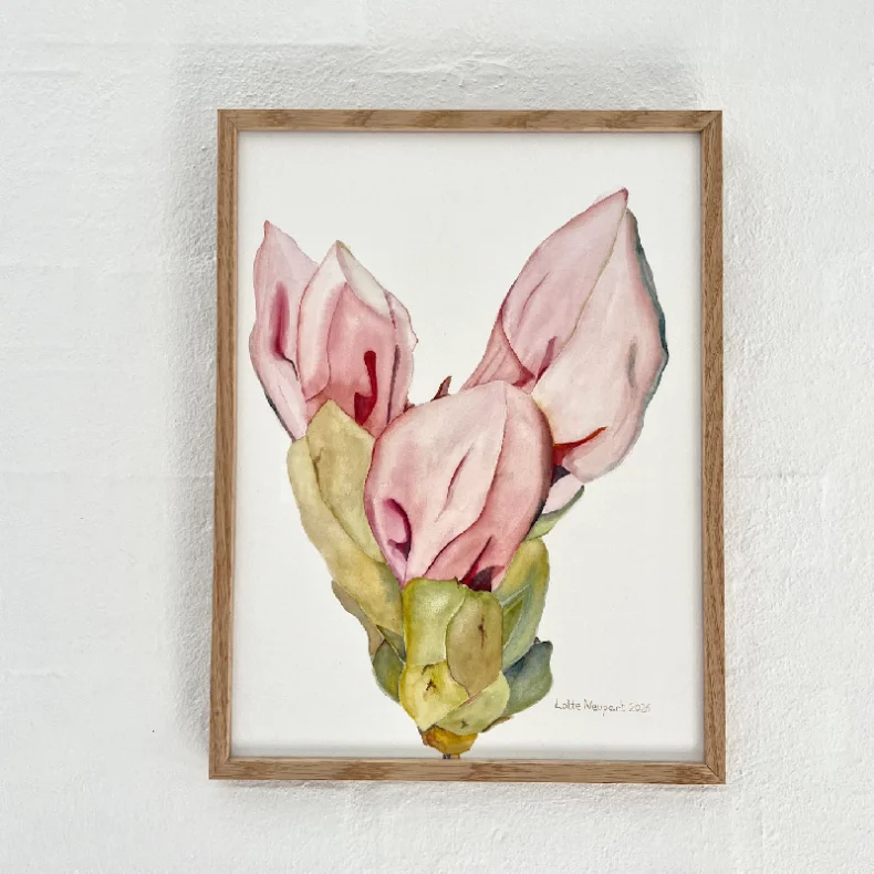 Akvarel - Blomsterknop 30x40cm inkl egetr�ramme