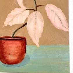 Oliemaleri - Stilleben med plante - 50x40cm