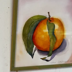 Akvarel - Citrusfrugt - 26x26cm inkl grn ramme