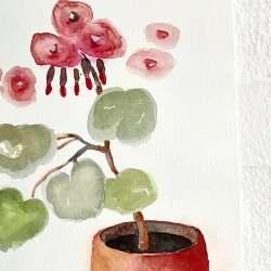 Original akvarel - Plante med r�de blomster - A4