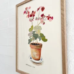 Original akvarel - Pelargonie i potte - 26x16cm  inkl egetr�ramme med museumsglas