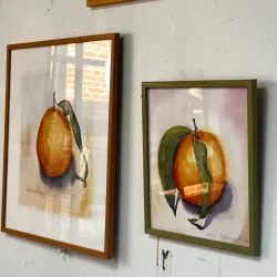 Akvarel - Mandarin - 40x40cm inkl ramme