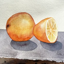 Akvarel - Halvanden appelsin - A4