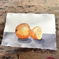 Akvarel - Halvanden appelsin - A4
