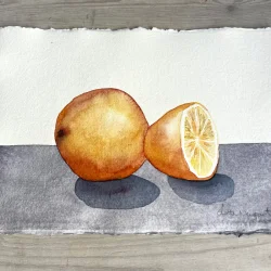 Akvarel - Halvanden appelsin - A4