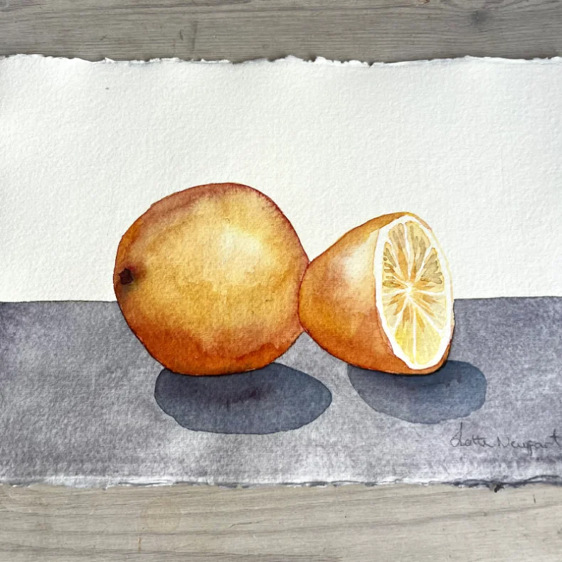 Akvarel - Halvanden appelsin - A4