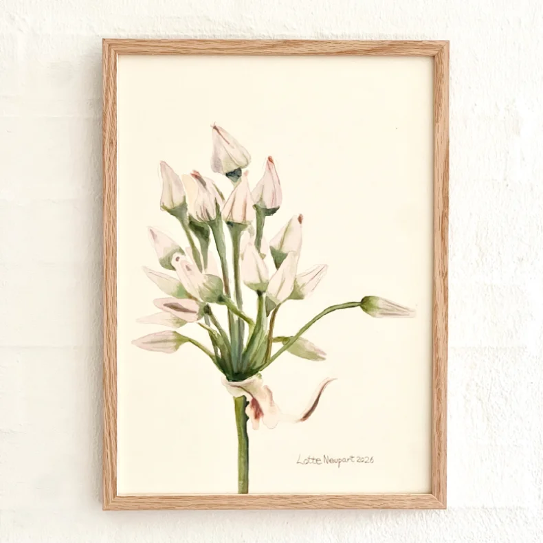 Original akvarel - Blomsterstand - indrammet 36x26cm