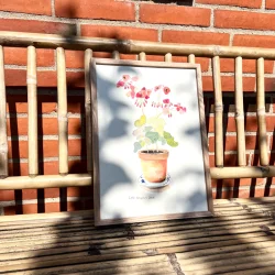 Original akvarel - Pelargonie i potte - 26x16cm  inkl egetr�ramme med museumsglas
