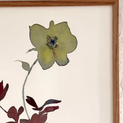 Akvarel - Julerose - grn - inkl egetrramme 30x40cm