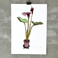 Mixed media - Kala i lille potte - A3