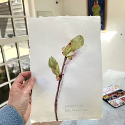 Akvarel - Kastanie i april - ca  A4