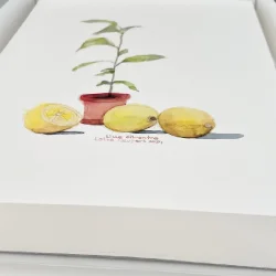 A4 plakat - Lille citrontr�