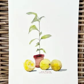Kunstprint - Lille citrontr� - A3