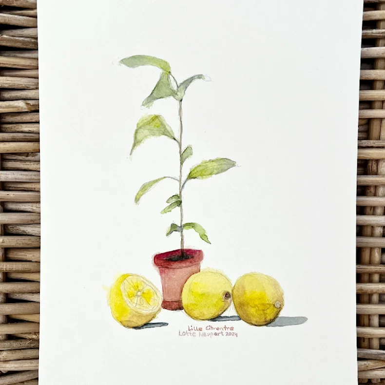 Kunstprint - Lille citrontr� - A3