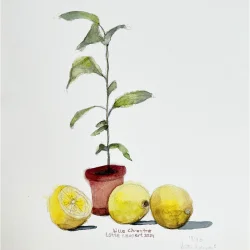 Kunstprint - Lille citrontr� - A3