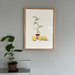 A4 plakat - Lille citrontr�