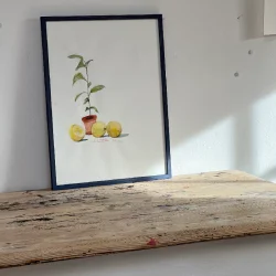 A4 plakat - Lille citrontr�