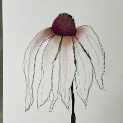 Mixed media - Lys solhat - A3