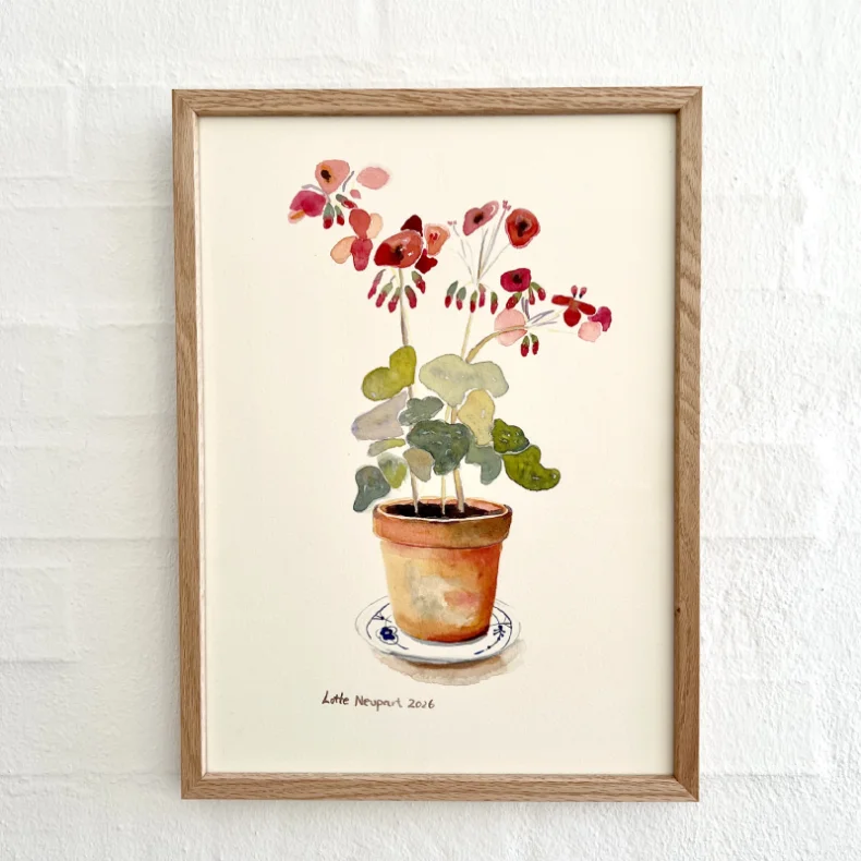 Original akvarel - Pelargonie i potte - 26x16cm  inkl egetr�ramme med museumsglas