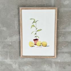 A4 kort - Lille citrontr