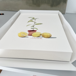 A4 kort - Lille citrontr