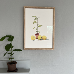 A4 kort - Lille citrontr