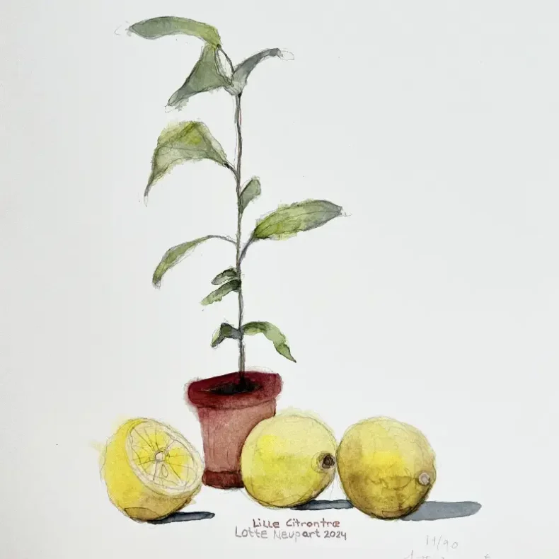 Kunstprint - Lille citrontr - A3