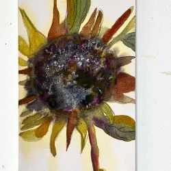 Akvarel - Cyklus - 13,5x50cm inkl magnetramme