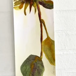 Akvarel - Cyklus - 13,5x50cm inkl magnetramme