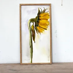 Akvarel - Solo solsikke - 26x52cm inkl ramme