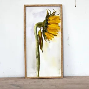 Akvarel - Solo solsikke - 26x52cm inkl ramme